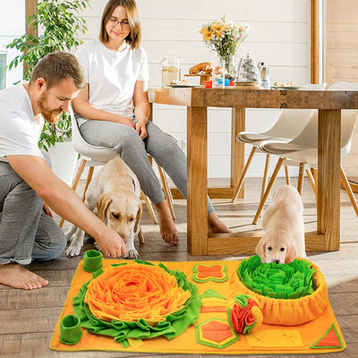 Pet Products Sniffing Pad Puzzle Interaction